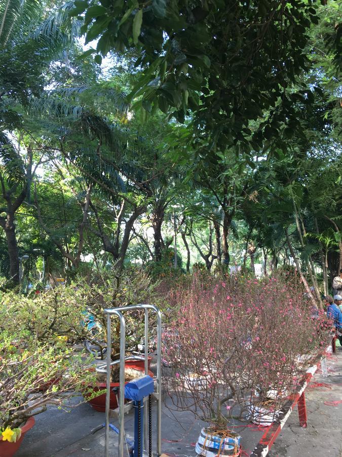 Istay Inn Hotel Bandar Ho Chi Minh Luaran gambar